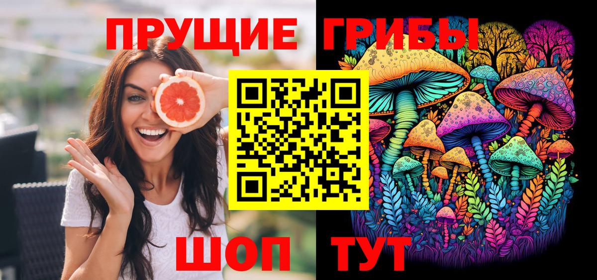Галлюциногенные грибы Cubensis Россия