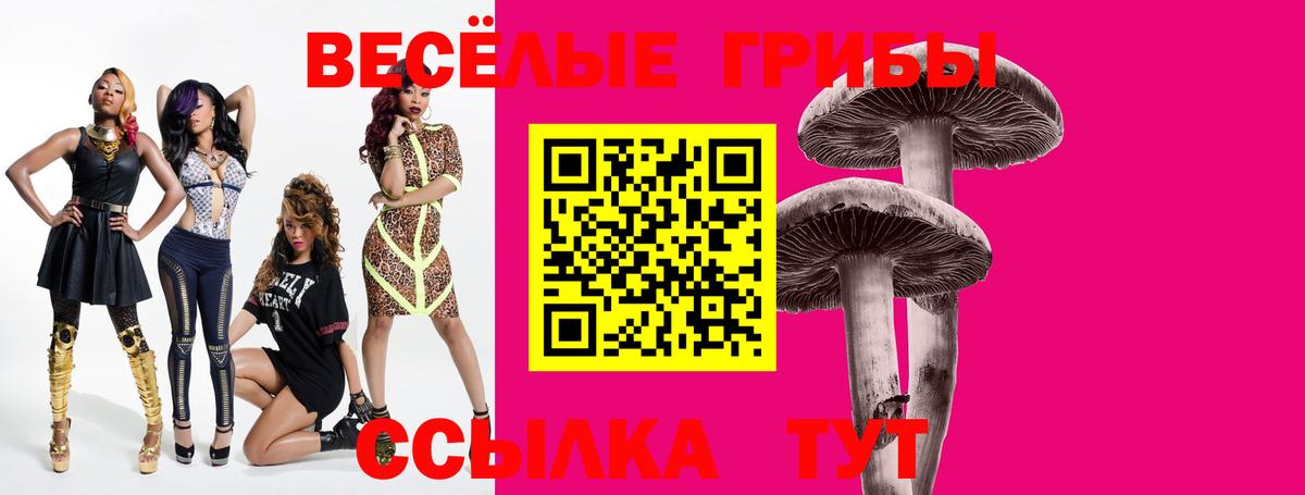 Псилоцибиновые грибы мицелий  Вход с VPN  Псилоцибиновые грибы Psilocybe  Россия 